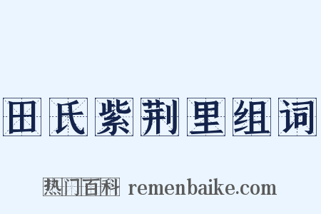 田氏紫荆里组词是什么意思的图片